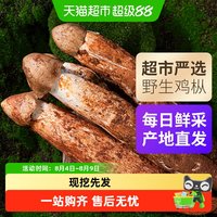 88VIP：玲珑岭 云南新鲜野生鸡枞菌野生黑帽白帽鸡枞火把鸡枞菌菇可食用 250克