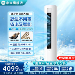 小米 立柜式空调 大3匹 速冷静 新一级能效 十年包修 72LW-PL30/A1A1