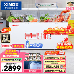 星星 601L商用冰柜 大容量冰箱冷藏冷冻转换柜 单温大容积卧式减霜保鲜节能冷柜