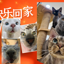 双人工作日不限时（不排队时不限时~同时仅接待8人）