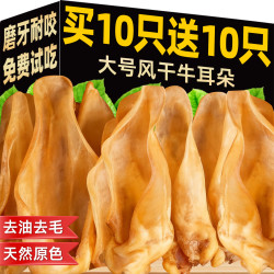 雅礼颂 狗狗零食风干牛耳朵磨牙棒耐咬金毛柯基小中大型犬宠物训练奖励品