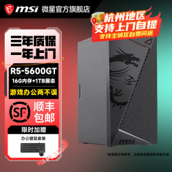 微星 5600GT核显家用小型商务电脑台式机商用办公炒股DIY电脑主机