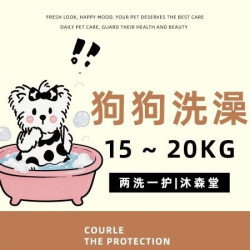 狗狗洗澡｜15～20kg｜两洗一护