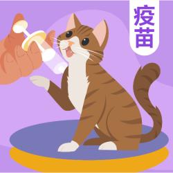 芭比堂动物医院 硕腾妙三多猫三联1针 | 到店服务