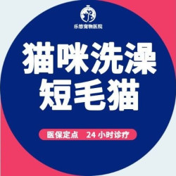 猫咪洗澡｜短毛猫｜精致洗护+烘干