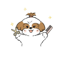 狗狗美容 |0-3KG| 洗护＋造型