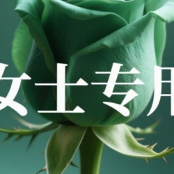 女士专用健身卡｜37天｜
