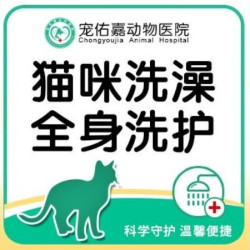 猫咪洗澡全身洗护（短毛）到店核销