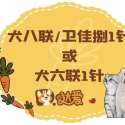 达爱动物医院 硕腾犬八联1针 | 进口卫佳捌1针｜到店服务