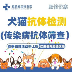 犬猫抗体检测（传染病抗体筛查）