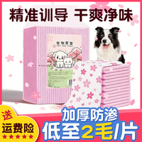 烨棠 加厚防渗吸水除臭狗狗尿垫一次性隔尿片引导宠物排便训练诱导尿垫