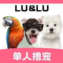 学生优惠｜单人撸宠（限工作日）