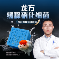 玛豆 培菌兰寿金鱼净水分享抑菌缓释硝化细菌稳定PH鱼缸水质净化