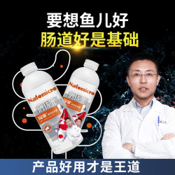 玛豆 纳丁尼克锦鲤观赏鱼益生菌液体营养液肠道不适趴缸不吃食