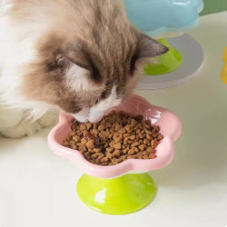 小毛豆猫咪陶瓷碗防打翻护颈大容量吃饭防滑饮水碗宠物高脚斜口碗