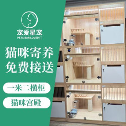 猫咪寄养｜一米二横柜｜24小时监控｜免费接送
