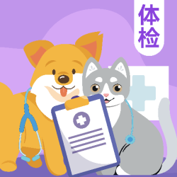 芭比堂动物医院 犬猫·抗体检测丨到店服务