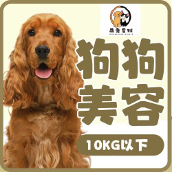 5-10KG狗狗美容造型（西高地雪纳瑞西施等）