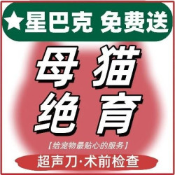 中农大 超声刀母猫绝育升级版