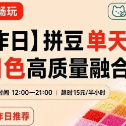 拼豆单天畅玩·221色高质量融合拼豆
