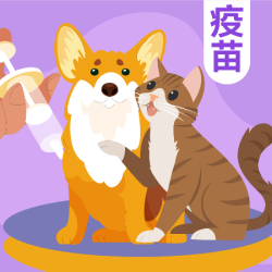 芭比堂动物医院 猫狗通用疫苗 | 单针狂犬疫苗丨到店服务