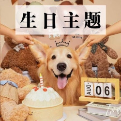 宠物场景｜宠物肖像｜生日写真｜多种场景任选