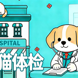 犬猫年度体检丨到店服务