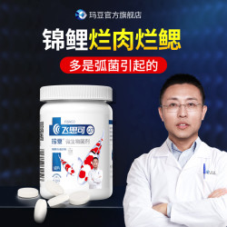 玛豆 飞思可锦鲤用益生菌鱼缸净水活菌片剂养鱼用品正品养鱼粉剂