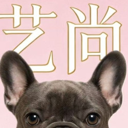 星际酒店式狗寄养标间