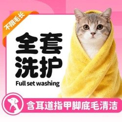 宠物洗护丨猫咪不限毛长含耳道指甲脚底毛清洁