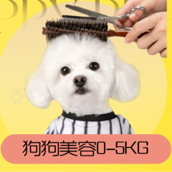 新客专享-狗狗精致美容