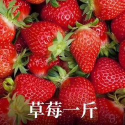 草莓采摘1斤