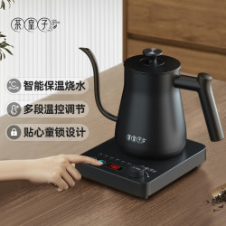 茶皇子 全自动恒温烧水壶烧水泡茶专用壶小型家用电水壶细长嘴咖啡手冲壶