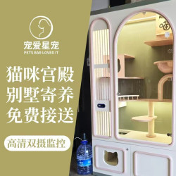 猫咪宫殿别墅寄养｜24小时独享监控｜免费接送