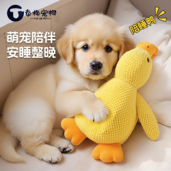 泰格宠物 狗狗玩具毛绒陪睡鸭耐咬磨牙发声解闷小中型犬宠物发声玩具小黄鸭