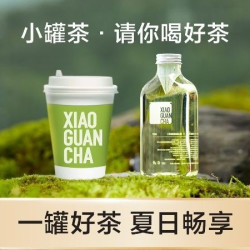 小绿杯/冷泡茶｜现泡原叶茶/下午茶/茶水/喝茶