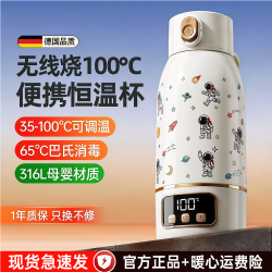 shezi 便携调奶器恒温杯无线控温外出恒温壶烧水冲奶旅行神器全自动