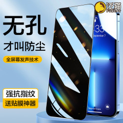 泛猫 适用苹果17无孔16/15/14钢化膜iPhone11promax防窥XR手机1213