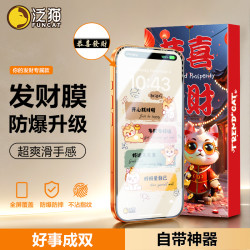 泛猫 适用苹果17ProMax发财iPhone16钢化膜15防窥14plus屏13手机12