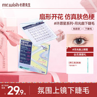 MR.WISH 月光曲免胶下睫毛两步上眼心愿先生大眼百搭QJ