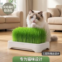 移动端：小猫日记 无土水培猫草盆栽种植盒懒人猫草种子育苗盘小麦化毛催吐助消化