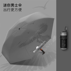 温诗欧 隐藏式手柄防晒折叠伞