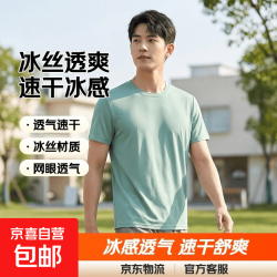 夏季冰丝短袖T恤男透气速干衣冰感大码运动沙滩速干上网眼TSJ 绿色 2XL
