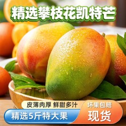 火鸡生活 四川攀枝花凯特芒果 5斤 单果300g+