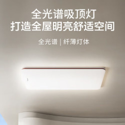 Panasonic 吸顶灯客厅灯全光谱护眼灯具超薄 咖色现代极简风140瓦 HHXQX163