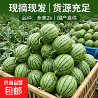 京东 正宗当季新品冰淇淋小糖丸西瓜时令新鲜手剥2K小吊瓜 小糖丸西瓜1.5-2斤(1粒)