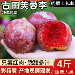 鲜珥家 古田正宗红心芙蓉李大果净重4斤装 单果50-70g