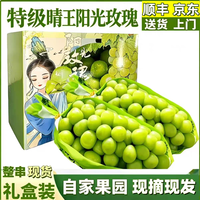 尹福记 果王 晴王 阳光玫瑰葡萄 3斤装 单果12-20克+ 顺丰