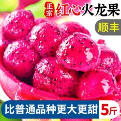福瑞达 红心火龙果新鲜水果当季整箱海南金都一号红肉甜蜜燕窝宝麒麟果10
