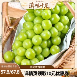 耘茄 云南 阳光玫瑰青提葡萄 4斤